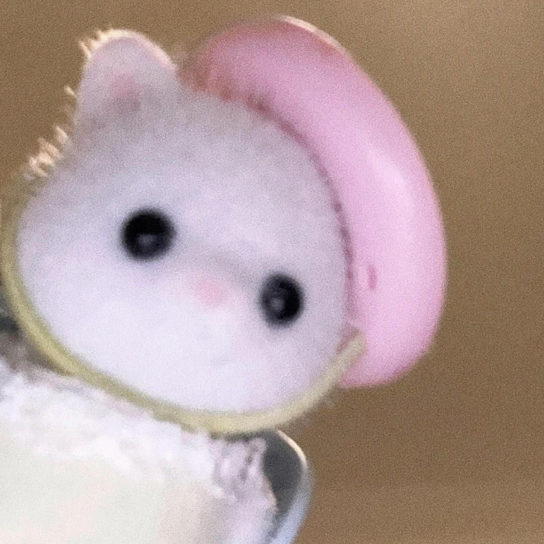 紫菜汤的pp.