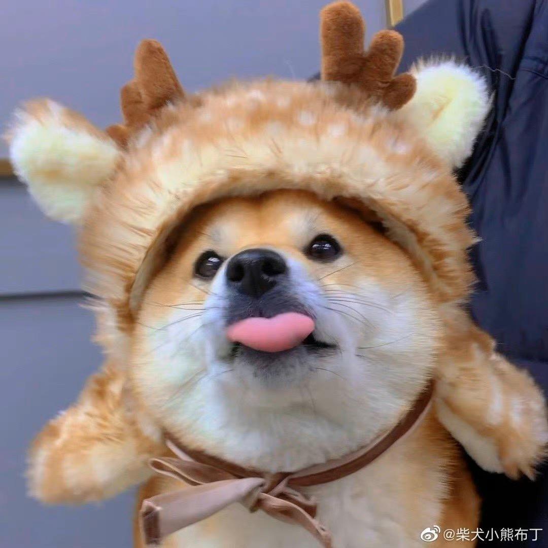 特嘻嘻茗
