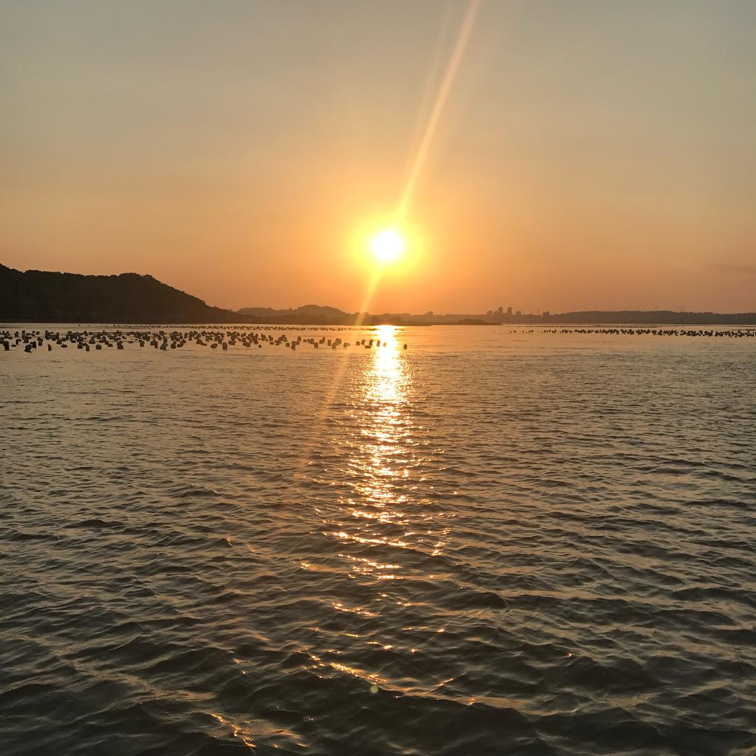 彪叔