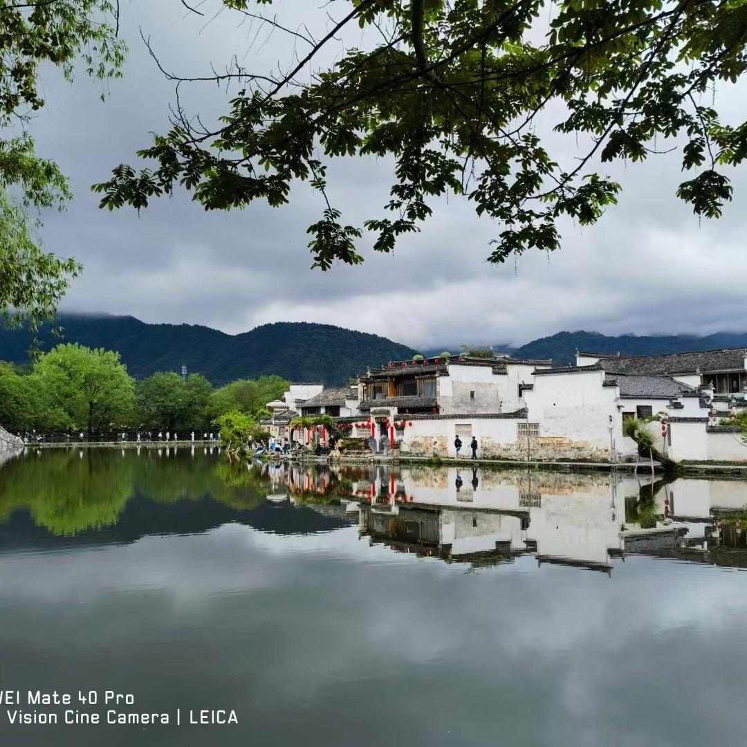 樱花🌸浪漫🌹