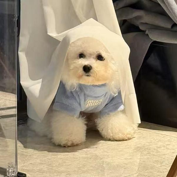 Alin愿望清单