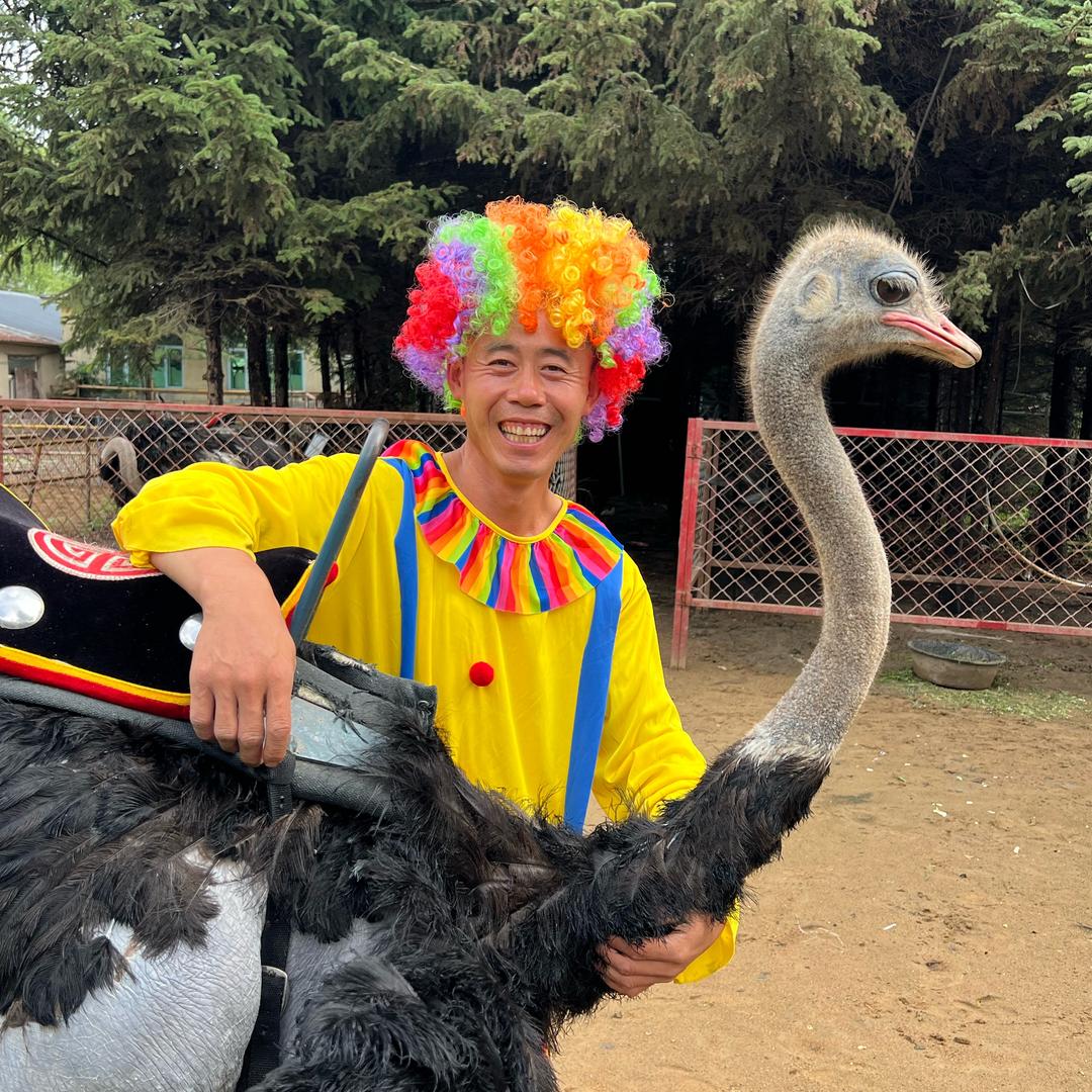 小丑骑行哈尔滨
