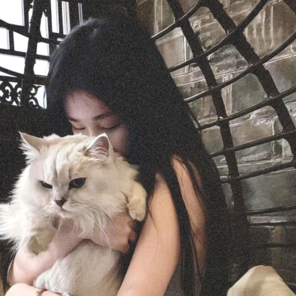 hello ꉂ ･ ･ ྀི ฅ