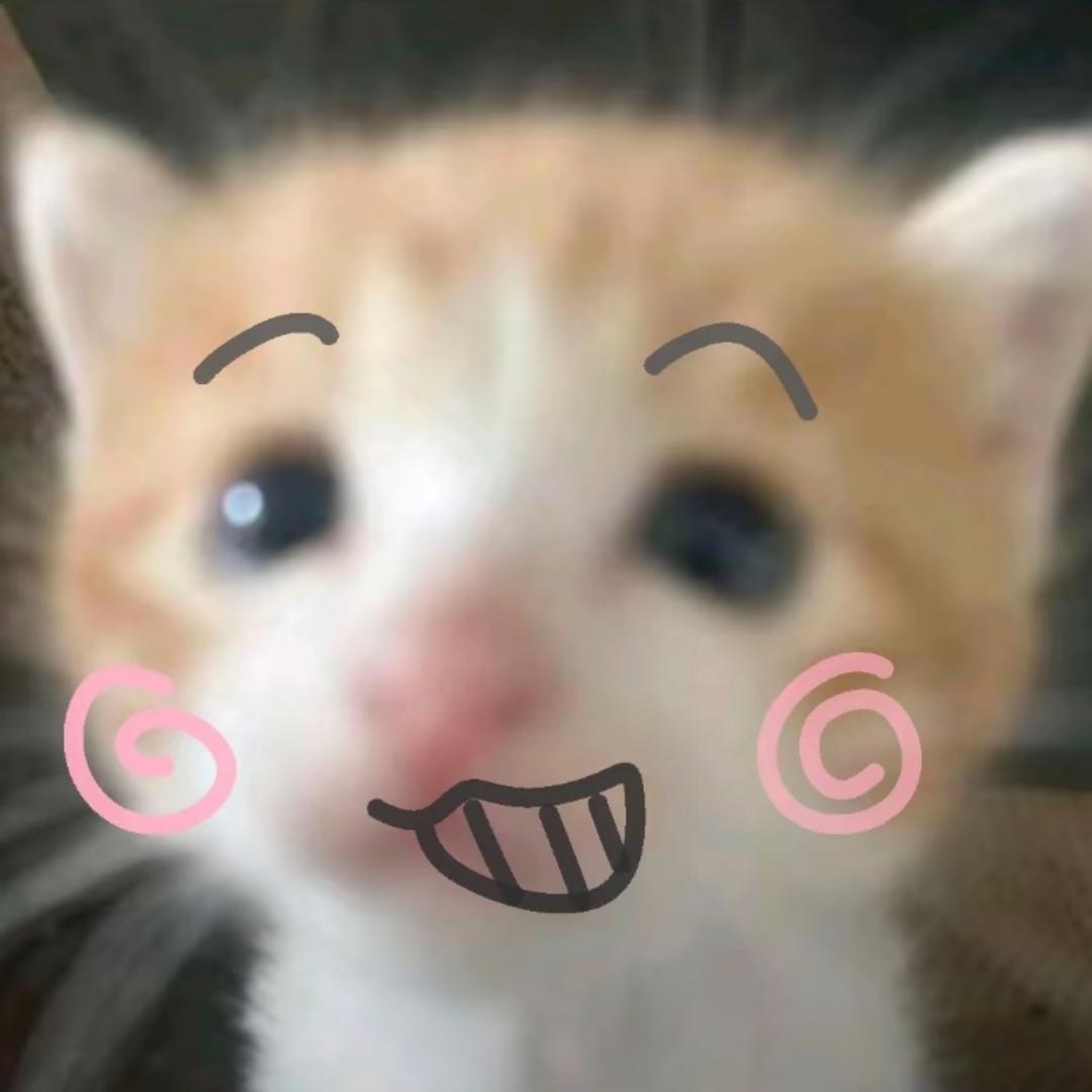 好久不见