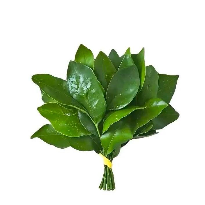 💕不发脾气只发财