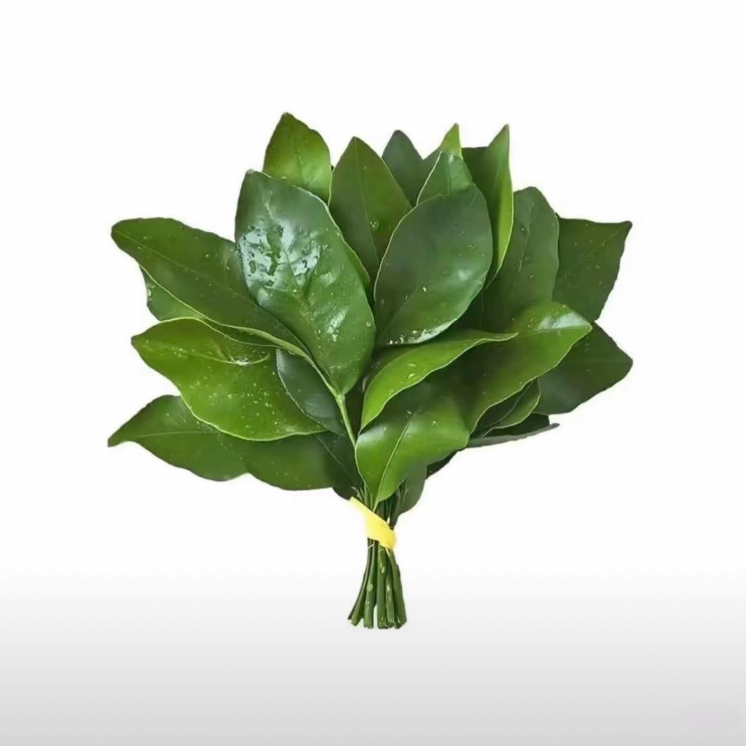 小陈ฅ