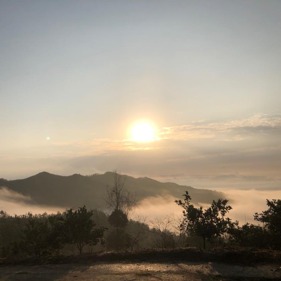 赣州市金橙名柚家庭农场