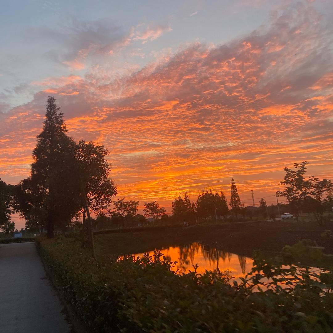 今日方知我是我