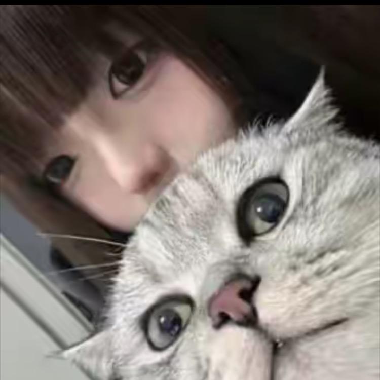 你说吧