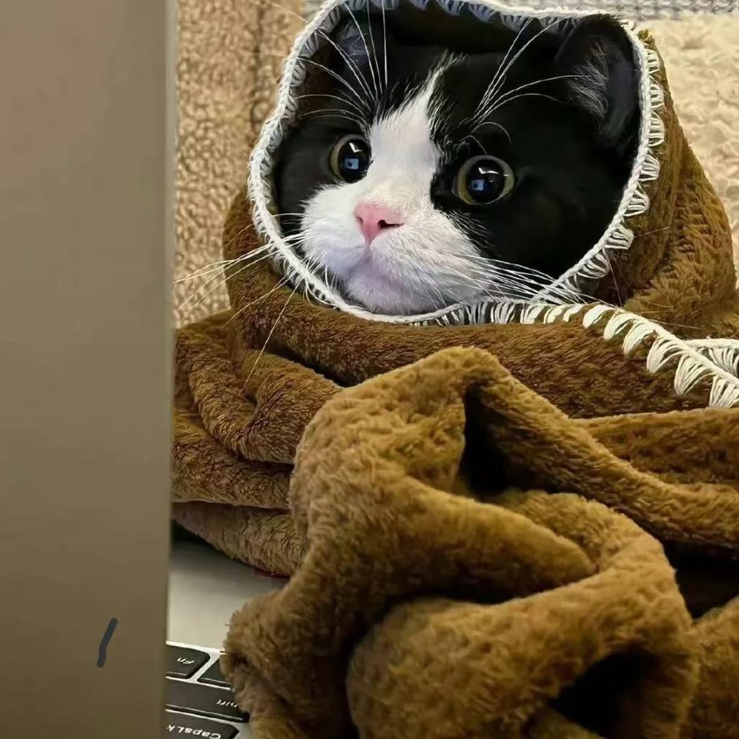 谁又让我丢钱了