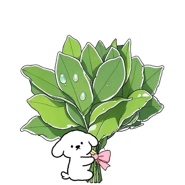 xixixi