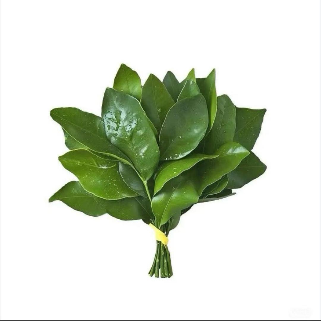 饱饱今天早睡了吗