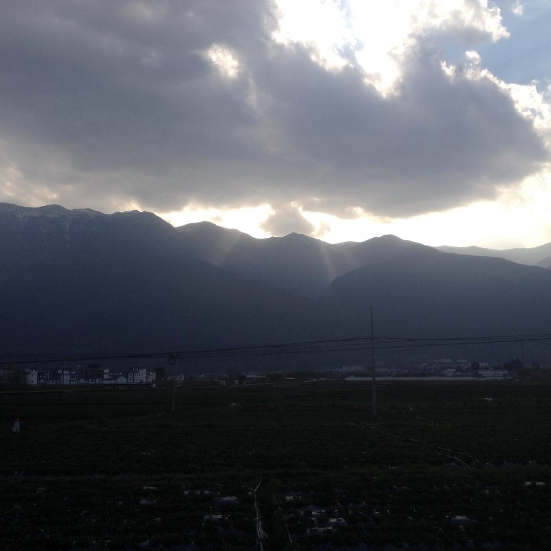 小路老师