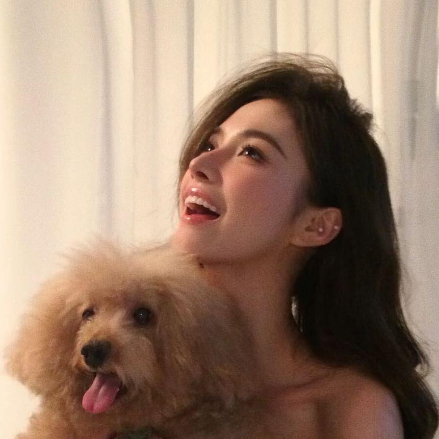 鲨仁不wink