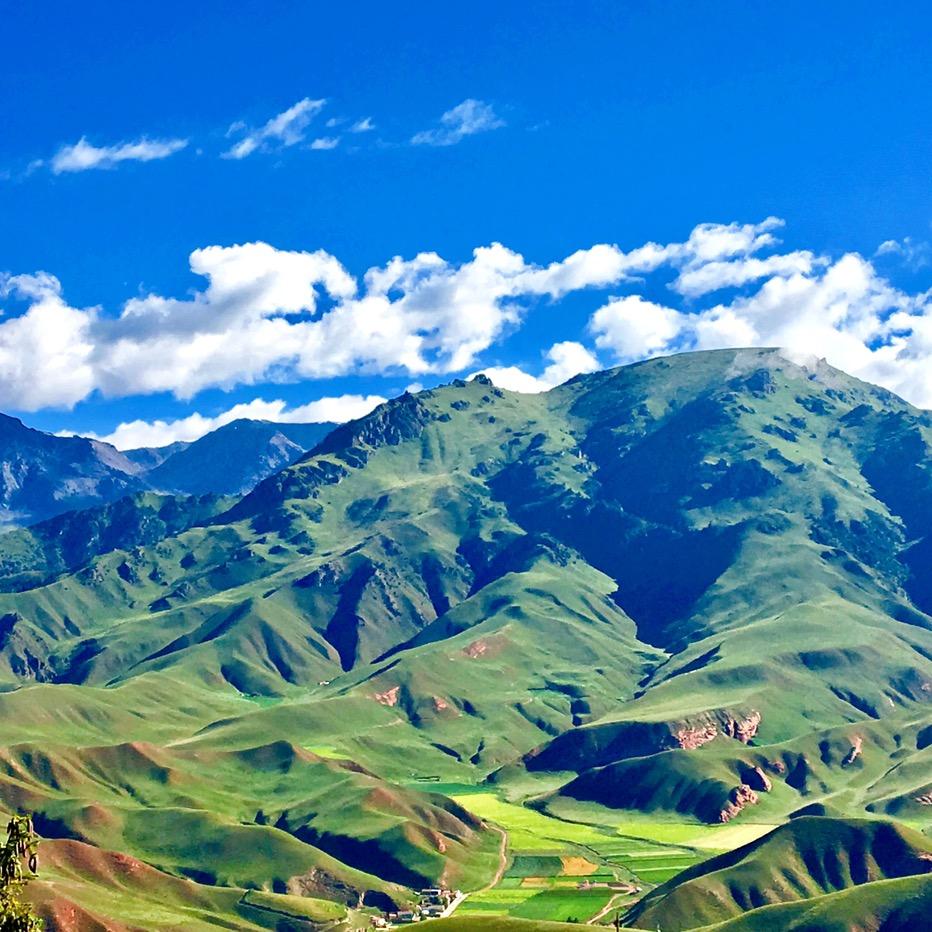 此身最爱财神爷