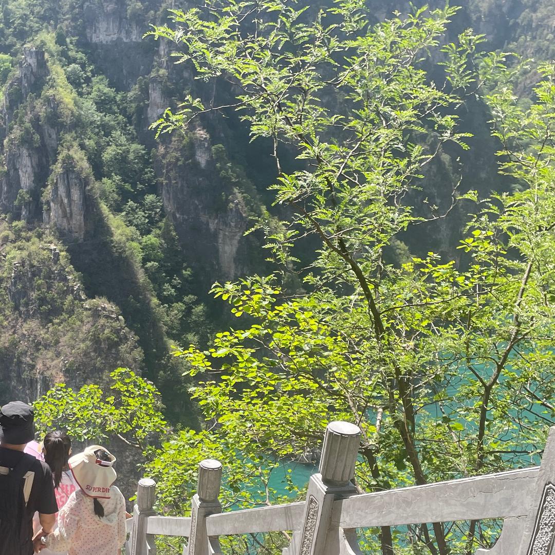 律在前行