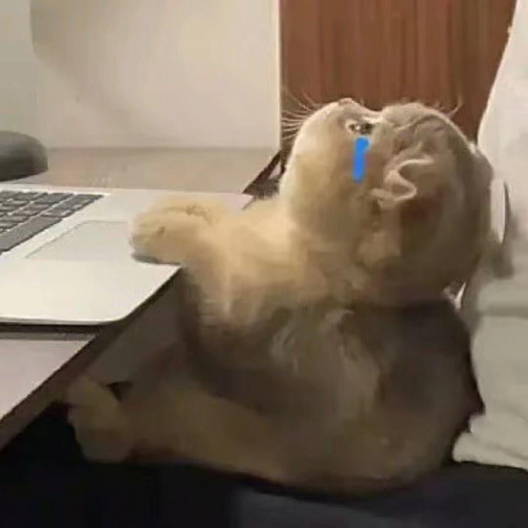 有点忙