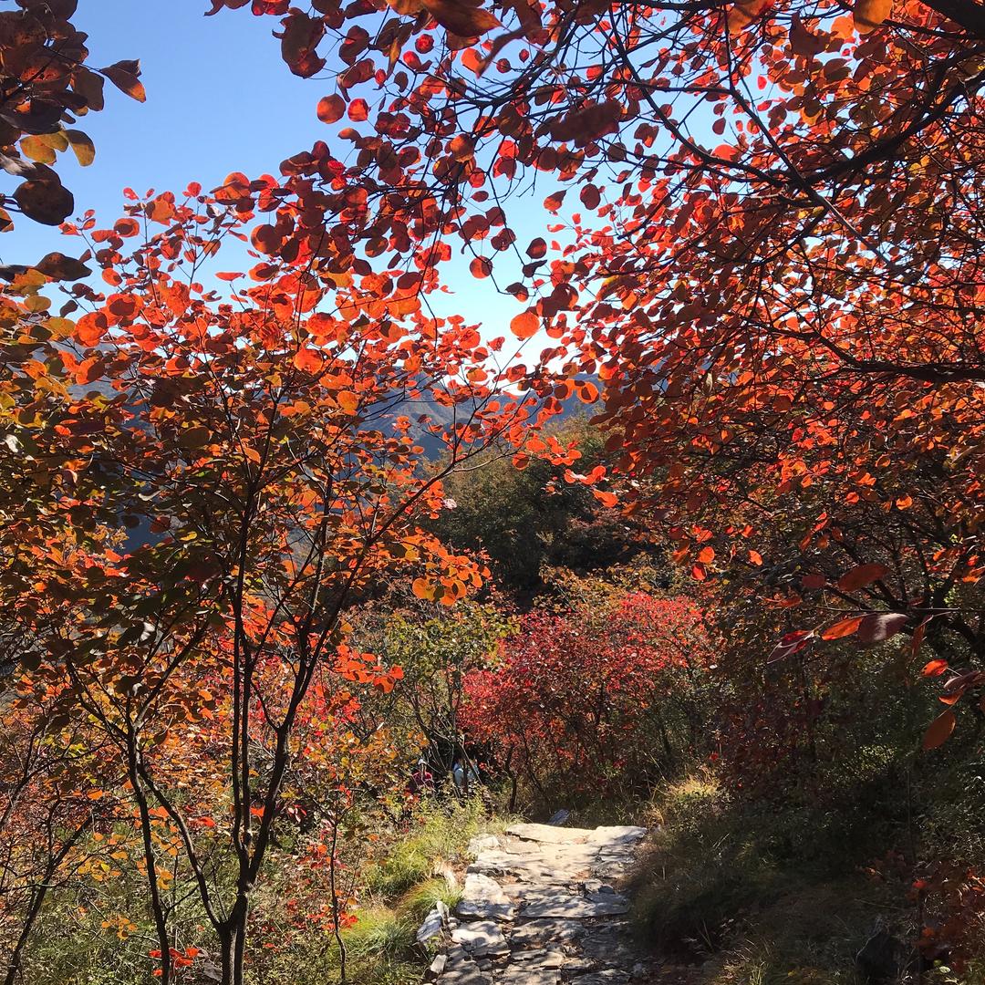 你笑起来真可爱2020