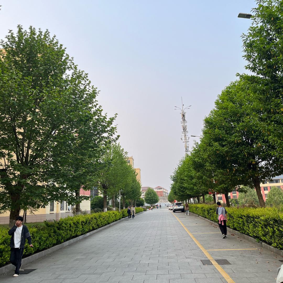 小6呀