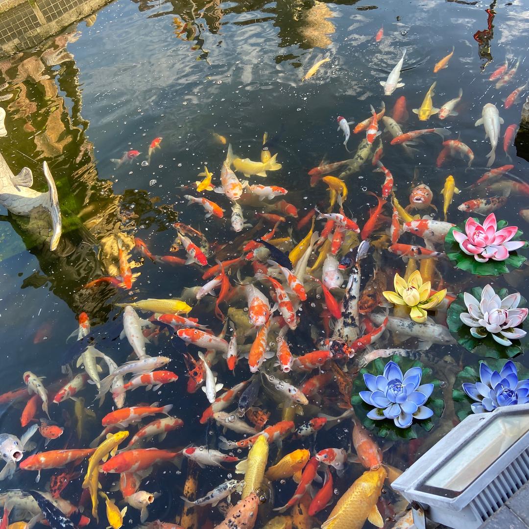 一洲装饰