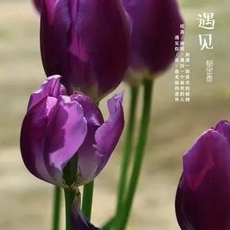 怡然自乐（拒绝私聊）