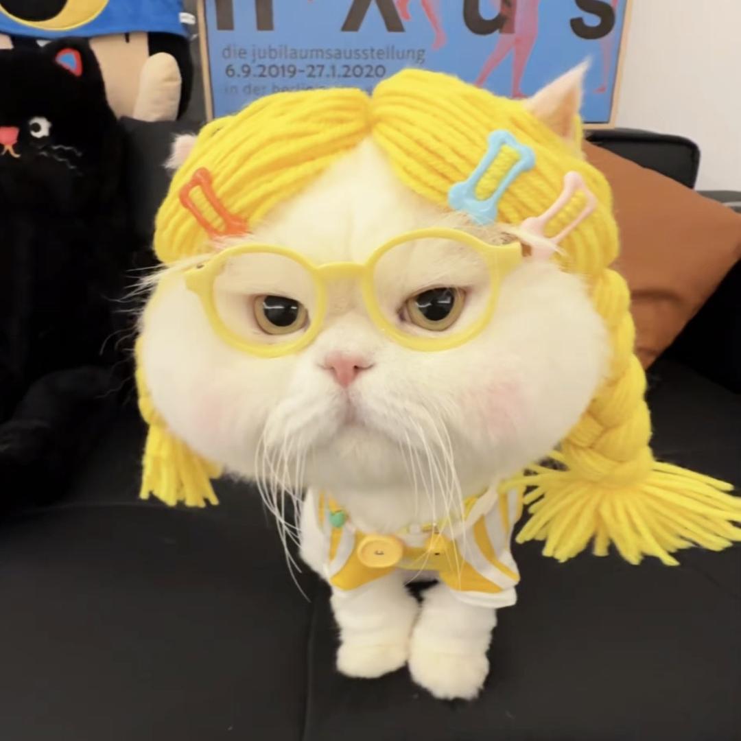 小雪莲
