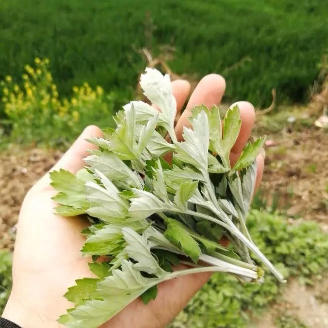 简行健康