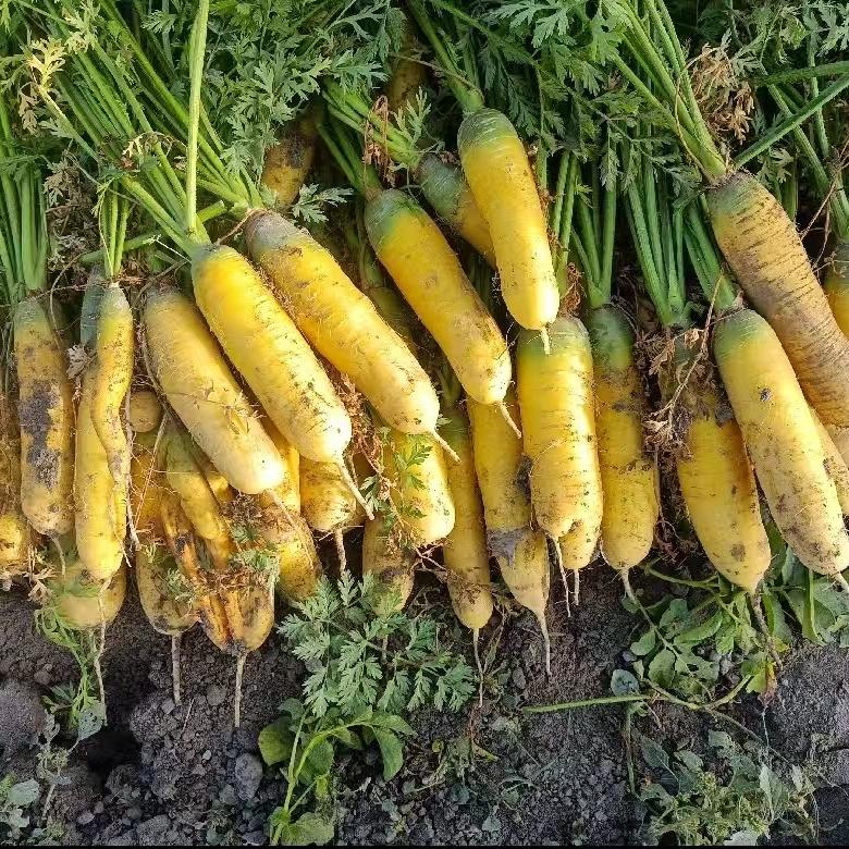 一侬民农副产品严选店