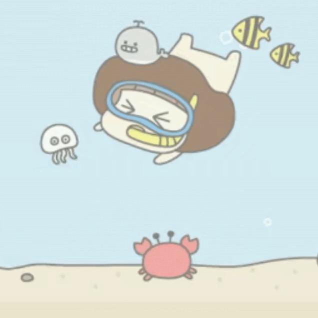 SKF进口轴承