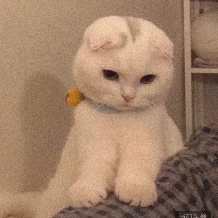 @yuan