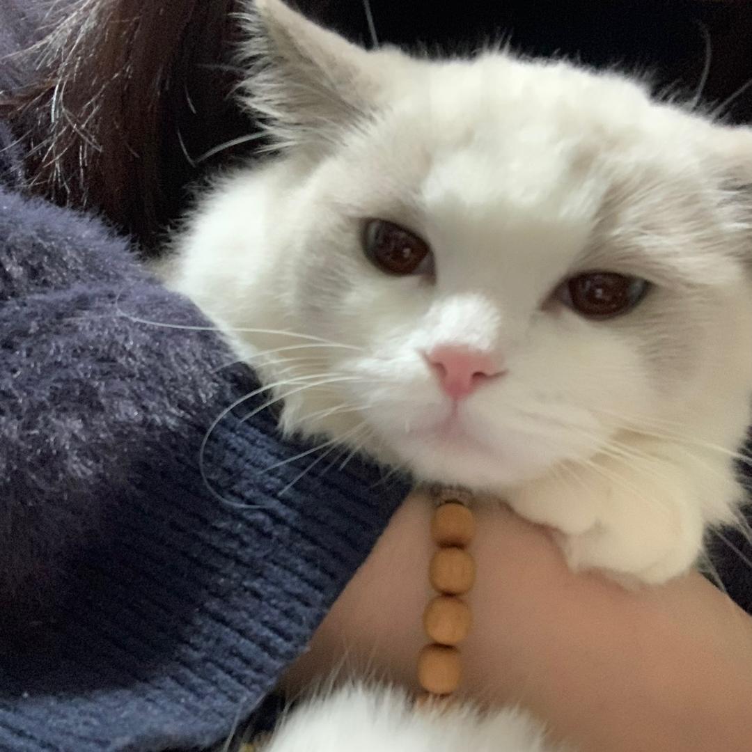 大风