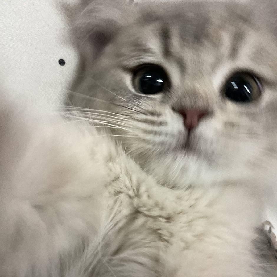 戚小满