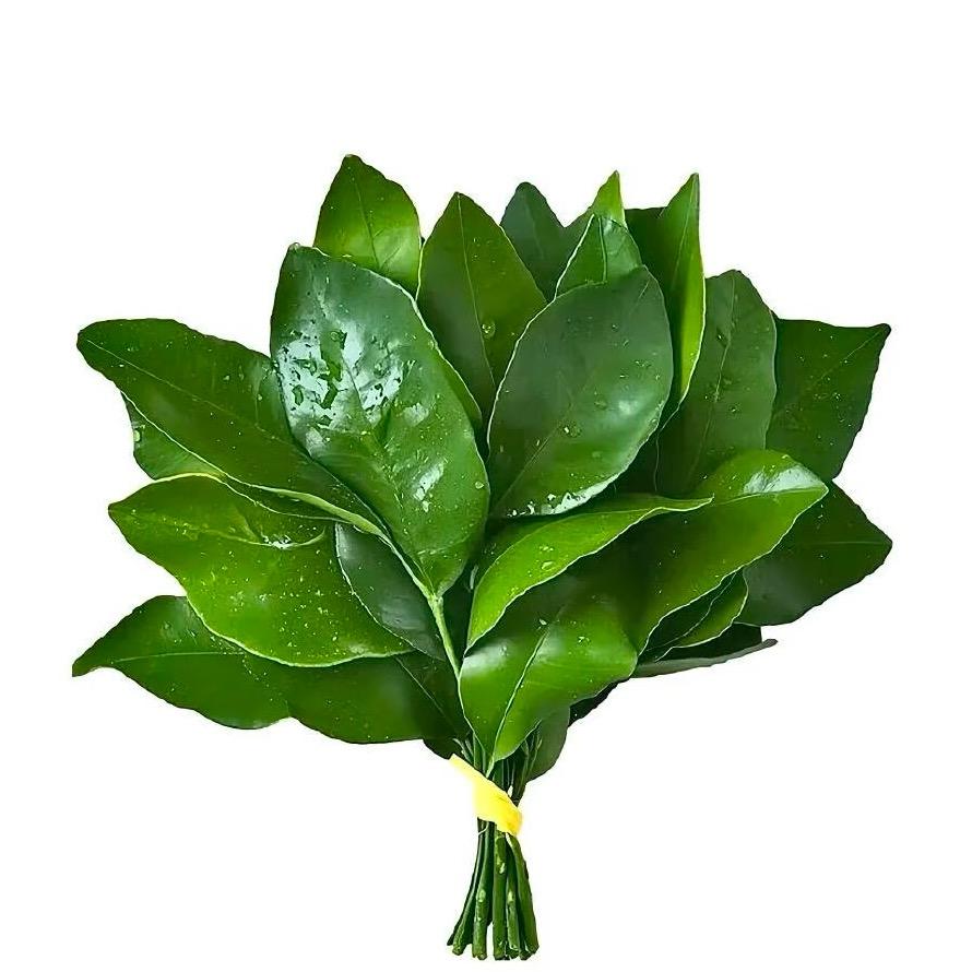 辣椒酱🌶️