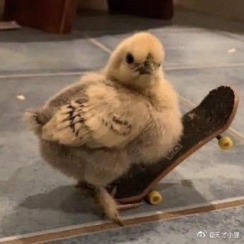 我不睡觉