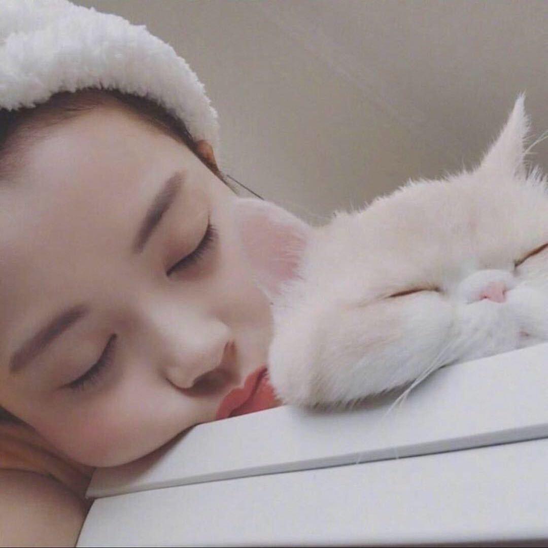 猪猪的足球日常