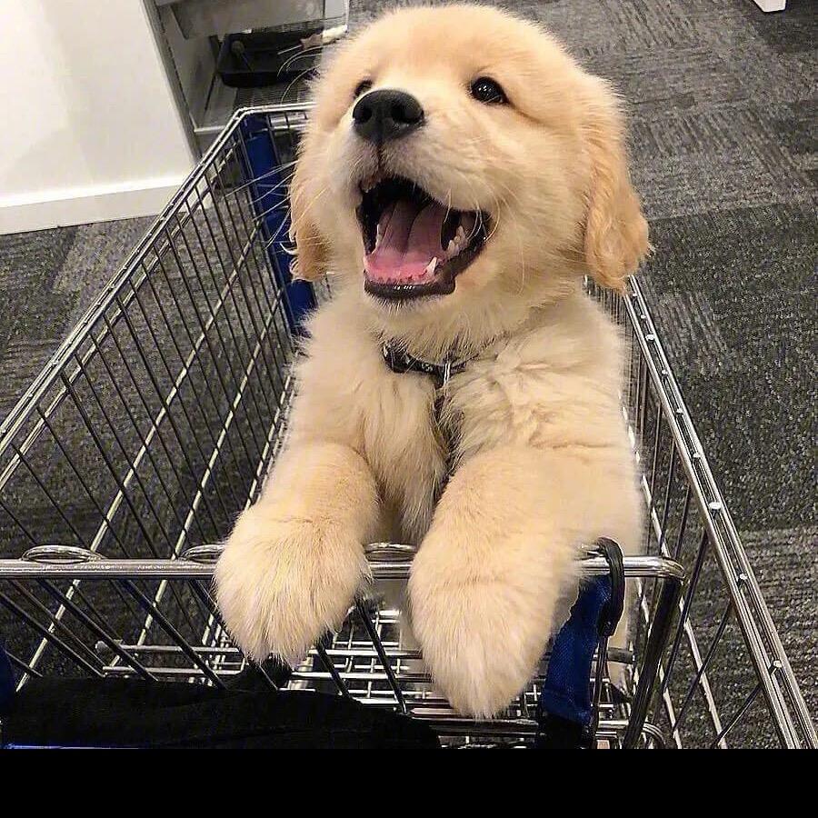 Choe.🧣