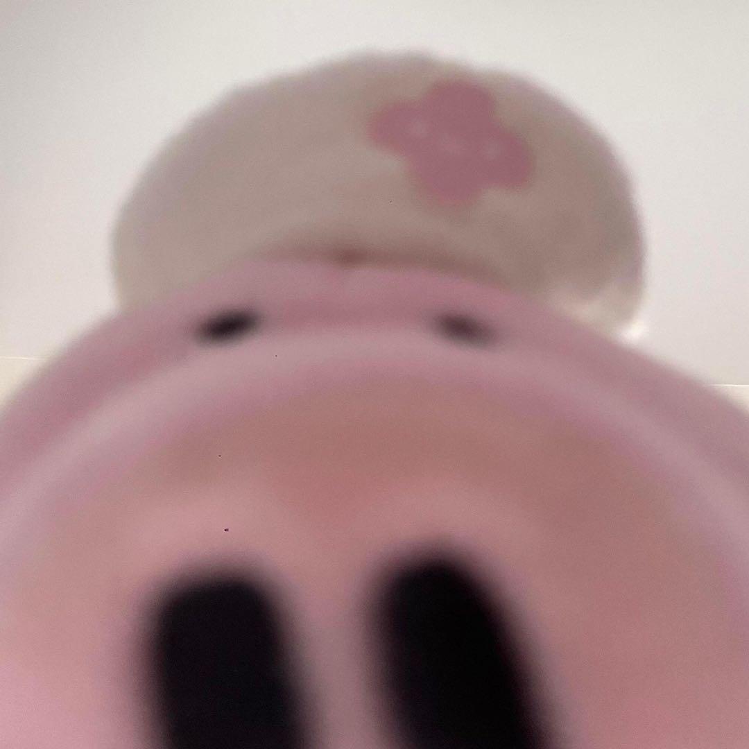 一只耶耶