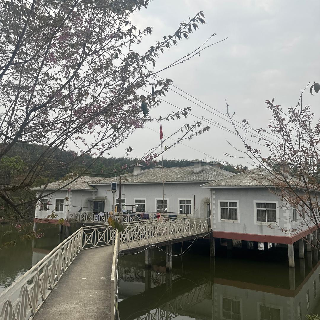 缅甸姑娘在中国