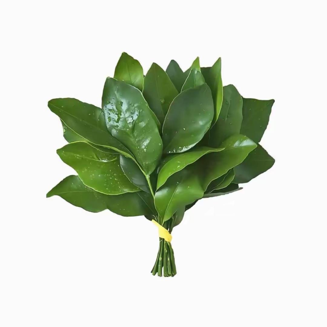 ^ 小韩睡不醒 ^