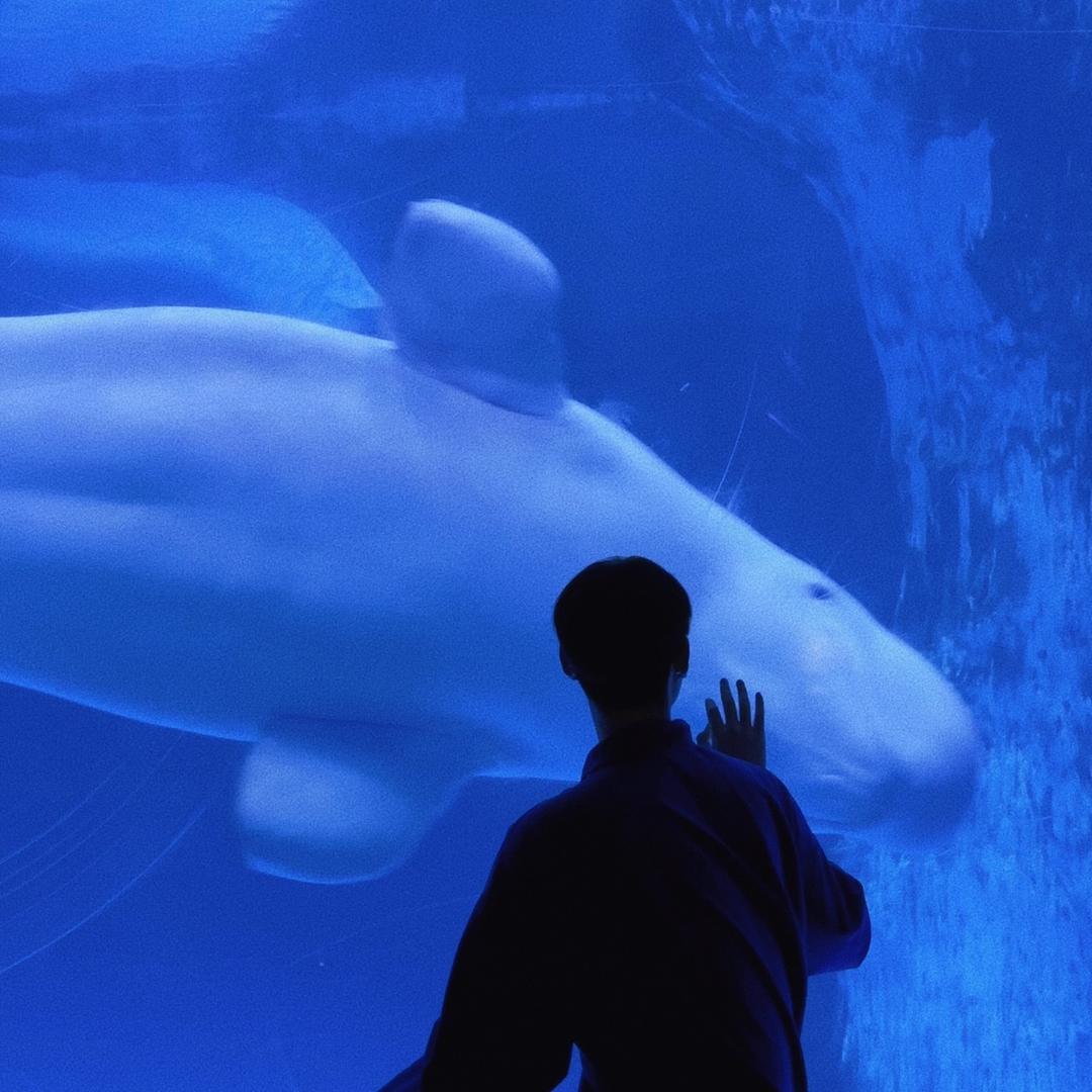 小米汽车｜流星蓝🐳