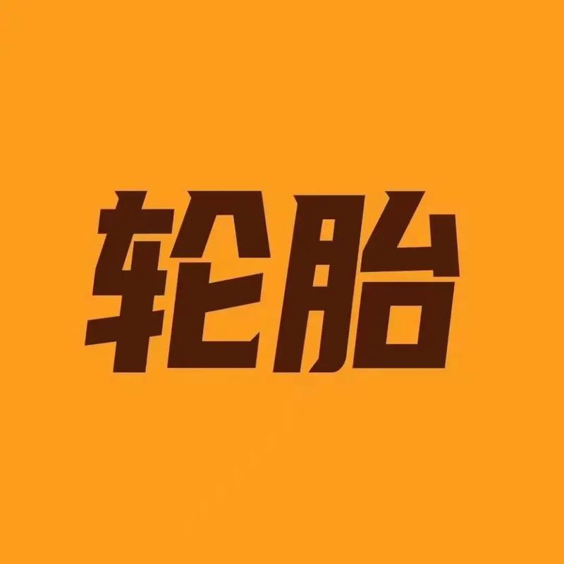 轮胎969