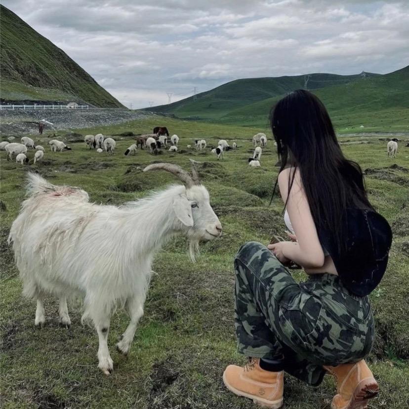 嘉的