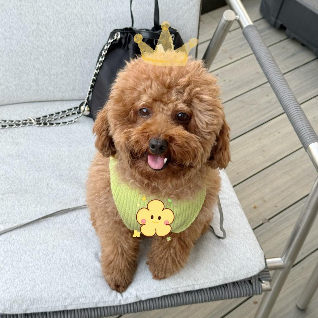 来福哥plus霖霖弟