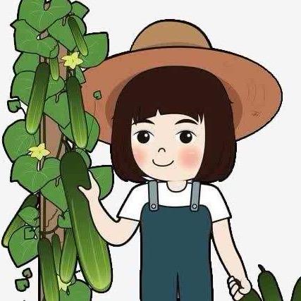 燕姐农资