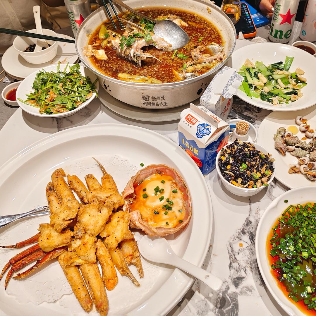 似慵懒怪猫