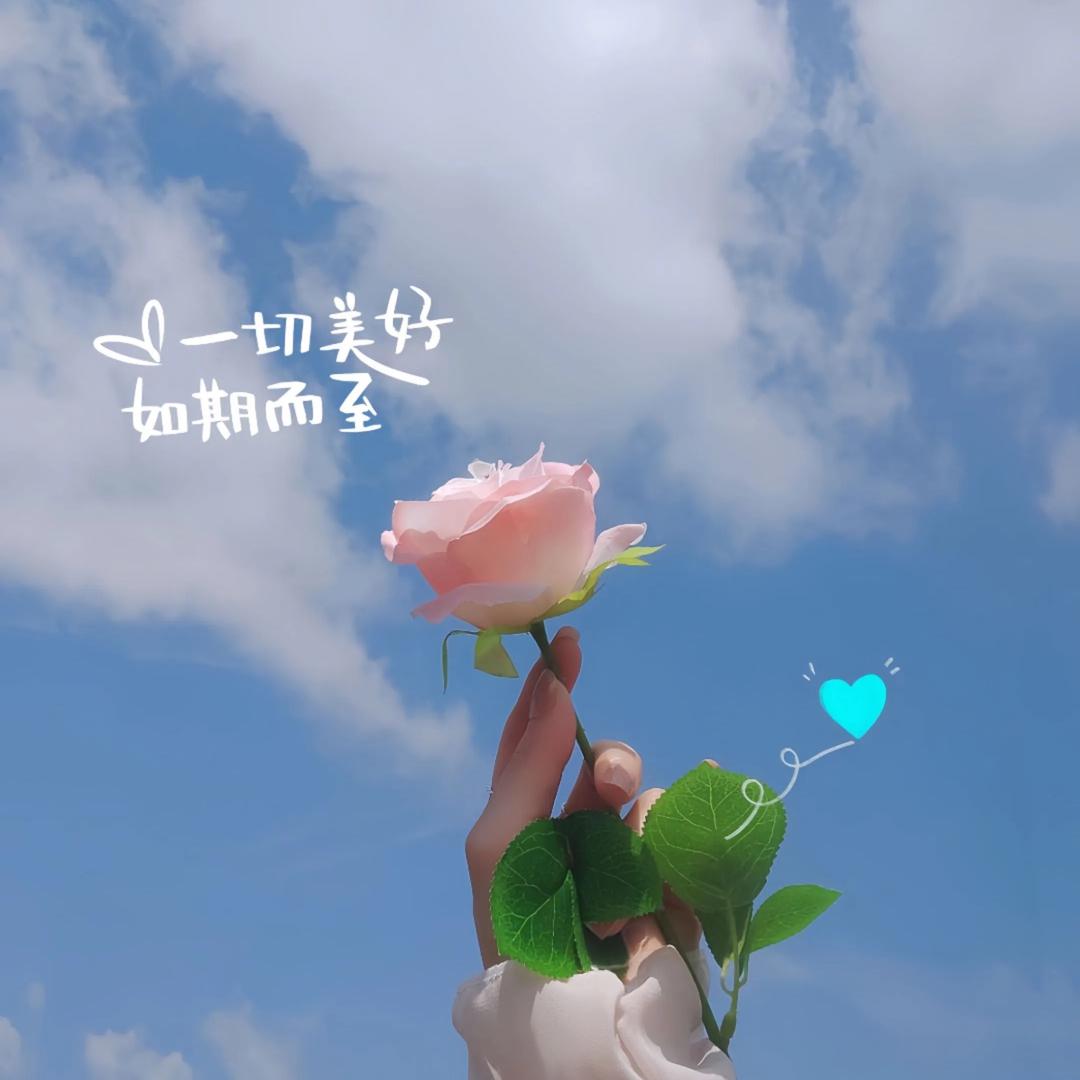 八零后老阿姨勇闯跨境电商