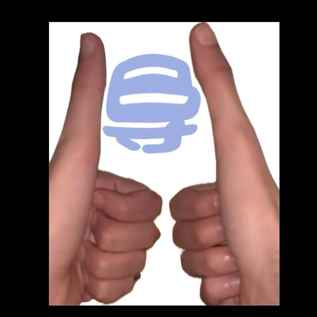 导二哥.