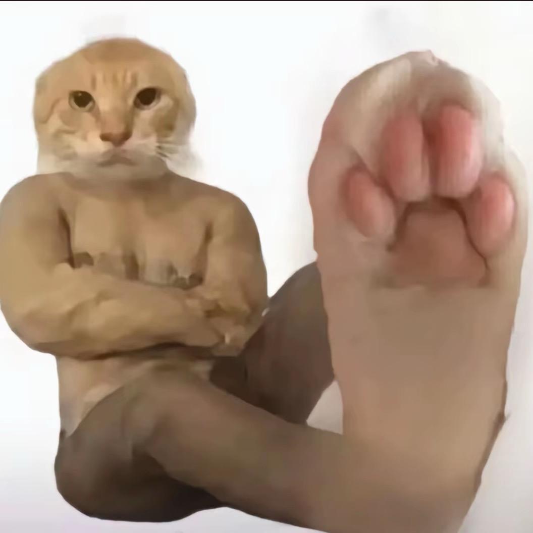 爱抹茶味儿的any星🌟