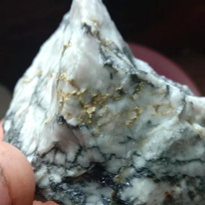 含黄金回收站江山总部