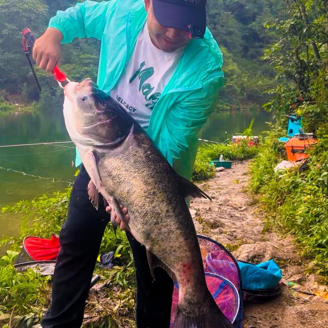 阿布🎣